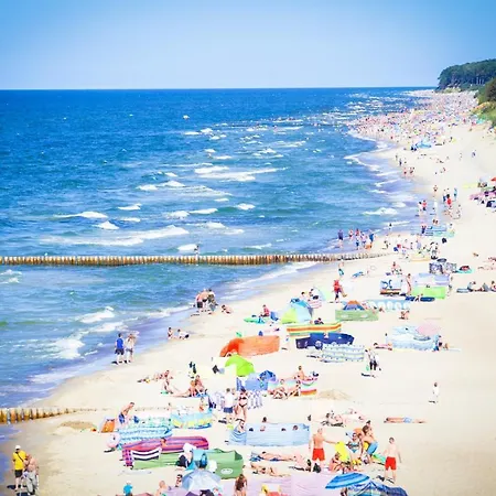 Apartment Klifowa 23 *